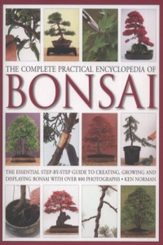 Complete Practical Encyclopedia of Bonsai