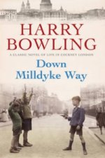 Down Milldyke Way