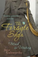 Forsyte Saga 7: Maid in Waiting