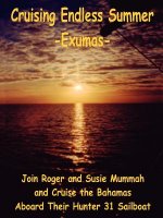 Cruising Endless Summer