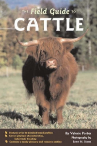 Field Guide to Cattle