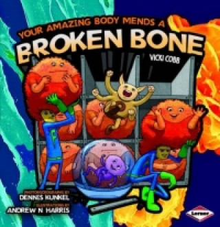 Your Amazing Body Mends a Broken Bone