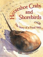 Horseshoe Crabs and Shorebirds