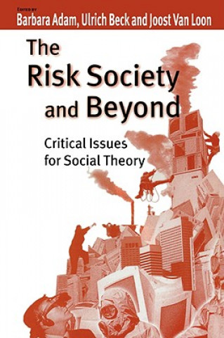 Risk Society and Beyond