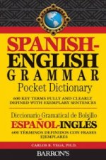 Spanish-English Grammar Pocket Dictionary