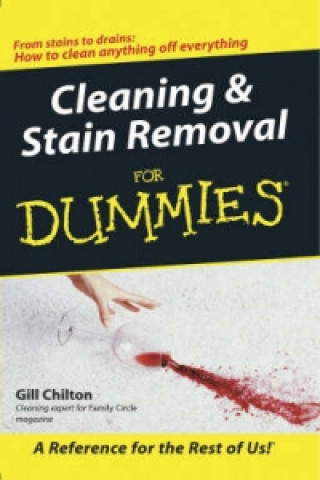 Cleaning and Stain Removal for Dummies