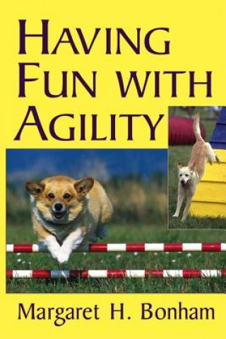 Having Fun with Agility without Competition
