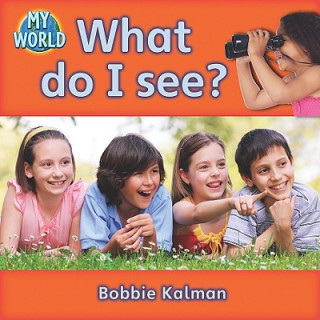 What do I see?