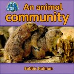 Animal Community