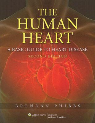 Human Heart