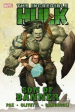 Incredible Hulk Vol.1: Son Of Banner