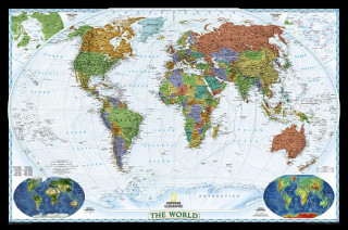 World Political Decorator Map