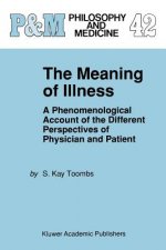 Meaning of Illness