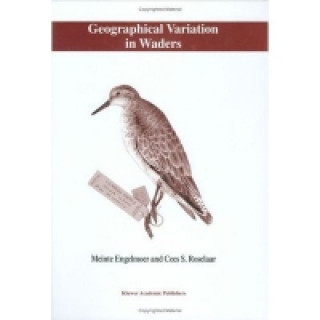 Geographical Variation in Waders