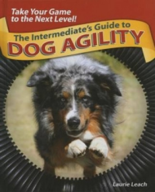 Intermediates Guide to Dog Agility