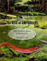 Rise of Amphibians