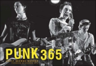 Punk: 365 Days