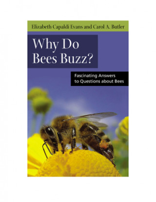 Why do Bees Buzz?