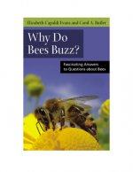 Why do Bees Buzz?