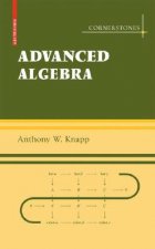 Basic Algebra and Advanced Algebra Set