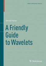 Friendly Guide to Wavelets