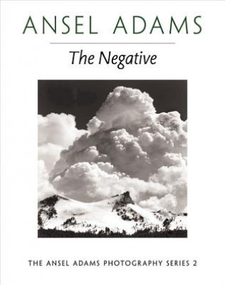 New Photo Series 2: Negative
