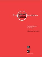 Microfinance Revolution
