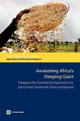 Awakening Africa's Sleeping Giant
