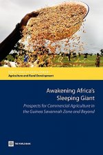 Awakening Africa's Sleeping Giant