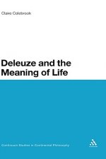 Deleuze and the Meaning of Life