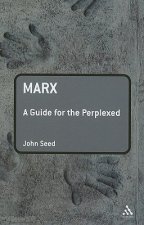 Marx: A Guide for the Perplexed