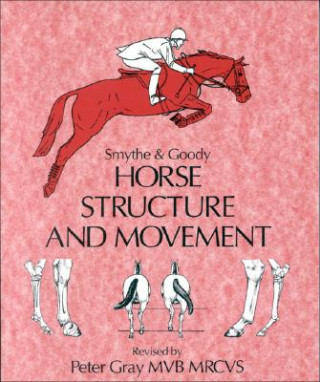 Horse Structure and Movement