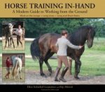 Horse Training In-hand