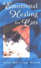 Emotional Healing For Cats