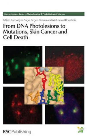 From DNA Photolesions to Mutations, Skin Cancer and Cell Death