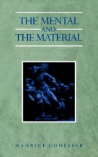 Mental and the Material