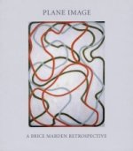 Plane Image