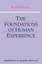 Foundations of Human Experience