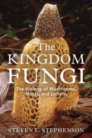 Kingdom Fungi