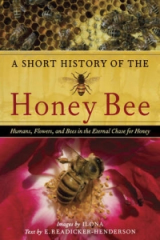 A Short History of the Honey Bee : Humans, Flowers, and Bees in the Eternal Chase for Honey