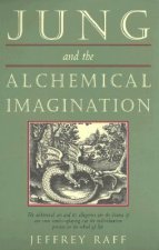 Jung and the Alchemical Imagination