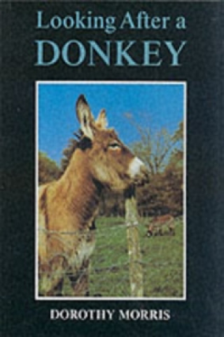 Looking After a Donkey