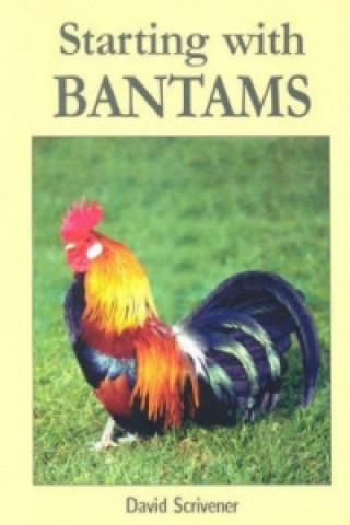 Starting with Bantams