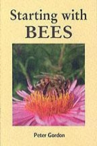 Starting with Bees