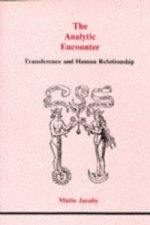 Analytical Encounter