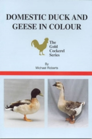 Domestic Duck and Geese in Colour