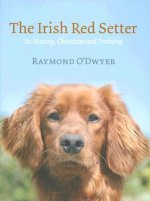 Irish Red Setter