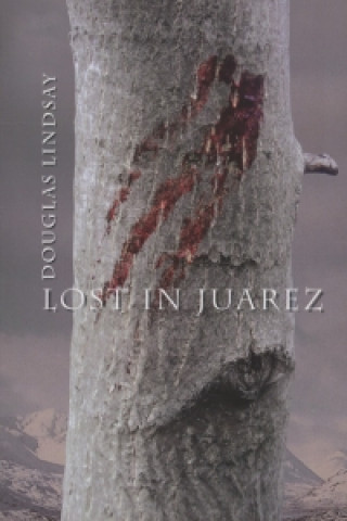 Lost in Juarez