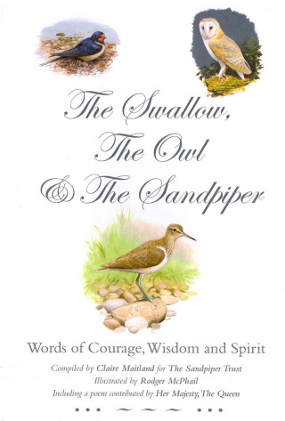 Swallow, the Owl and the Sandpiper