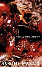 Soul of the White Ant